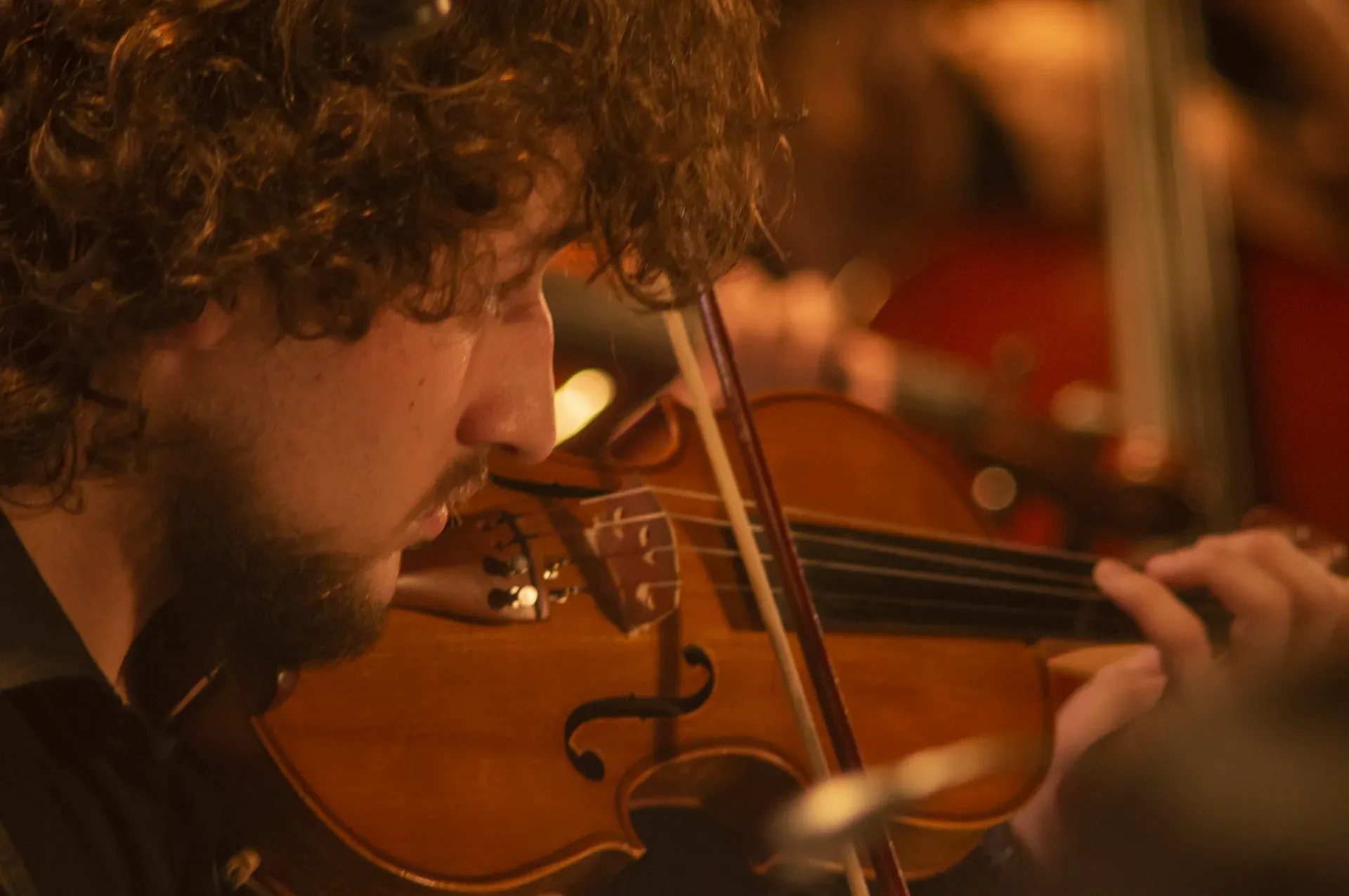Violinista en primer plano durante un concierto